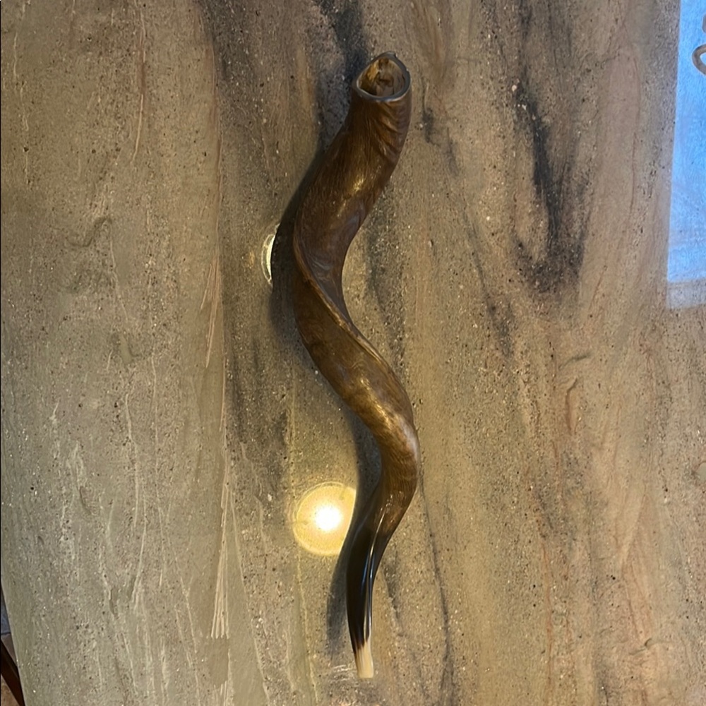 65cm Chanukkah Shofar